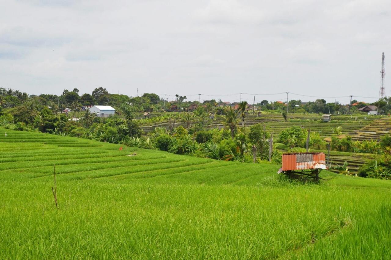 The Bali Dream Villa & Resort Echo Beach Canggu Exterior photo